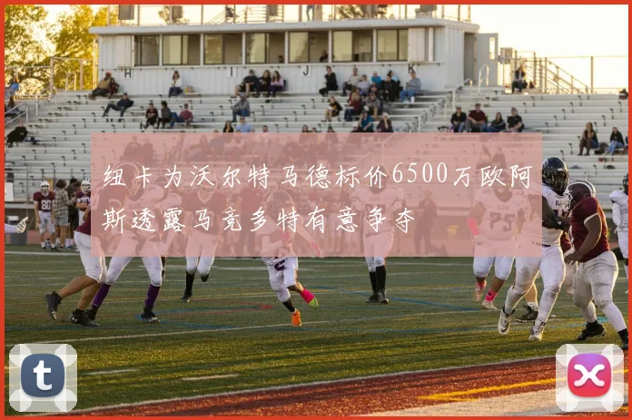 纽卡为沃尔特马德标价6500万欧阿斯透露马竞多特有意争夺
